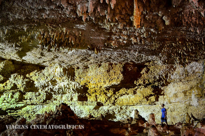 Top 7 Melhores Cenotes de Cancun, Riviera Maya, Tulum e Cobá