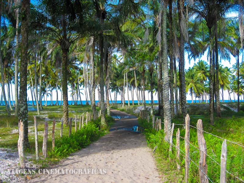 O que fazer em Boipeba - Ilha de Boipeba Bahia