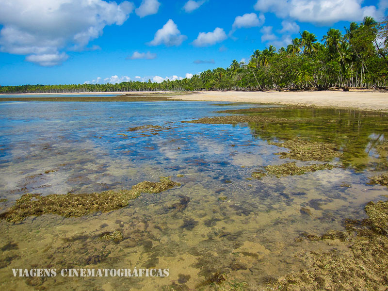 O que fazer em Boipeba - Ilha de Boipeba Bahia