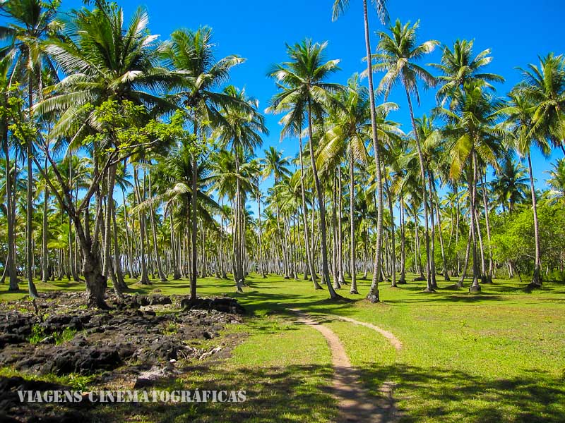 O que fazer em Boipeba - Ilha de Boipeba Bahia