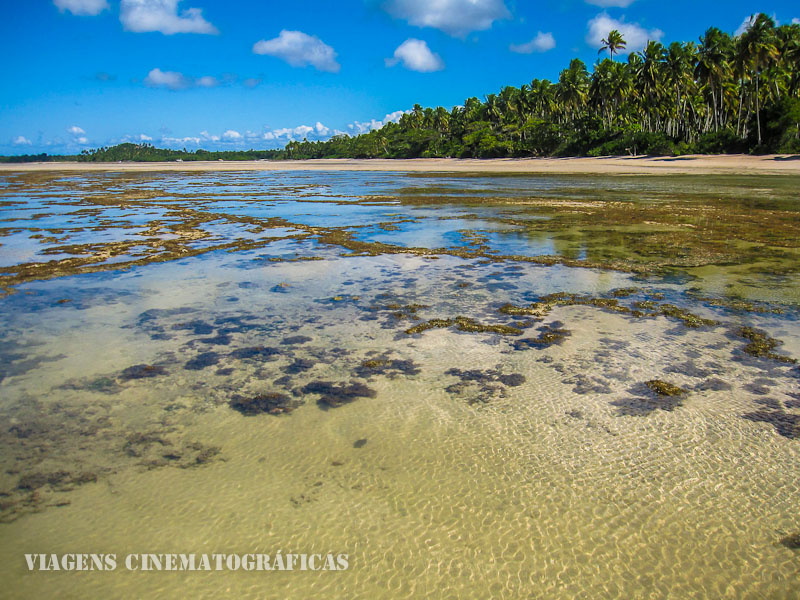 O que fazer em Boipeba: Morerê - Ilha de Boipeba Bahia