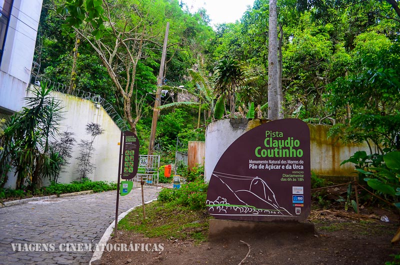 Aves e Árvores: Visita à Pista Claudio Coutinho no Morro da Urca (RJ):  paraíso do Tiê-Sangue e outras aves