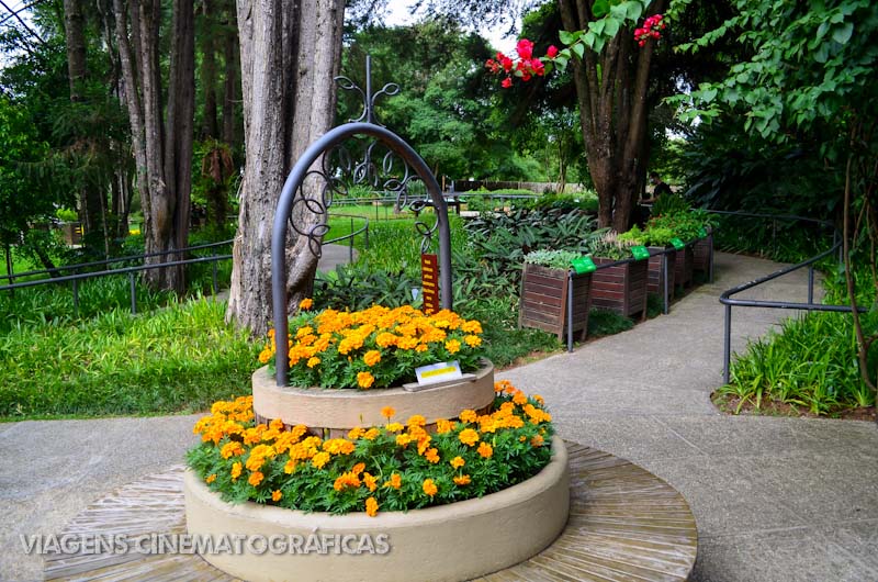 O que fazer em Curitiba: Jardim Botânico | Viagens ...