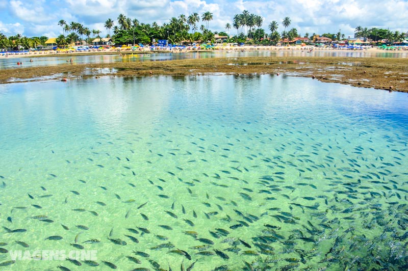 Piscinas Naturais de Porto de Galinhas, em Pernambuco