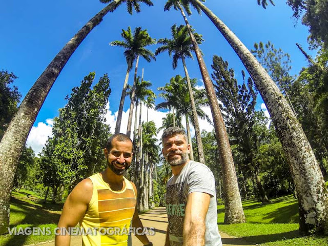 Jardim Botânico: Lugares Imperdíveis para Conhecer no Rio de Janeiro