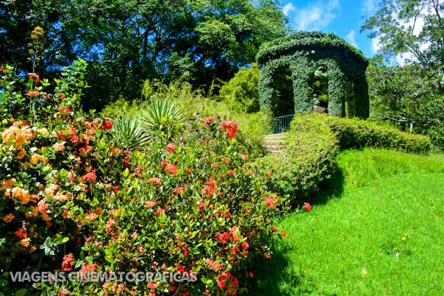 Jardim Botânico: Lugares Imperdíveis para Conhecer no Rio de Janeiro