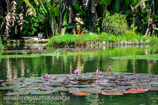 Jardim Botânico: Lugares Imperdíveis para Conhecer no Rio de Janeiro