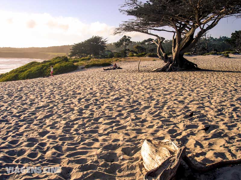 A charmosa praia de Carmel-by-the-Sea, no litoral da Califórnia