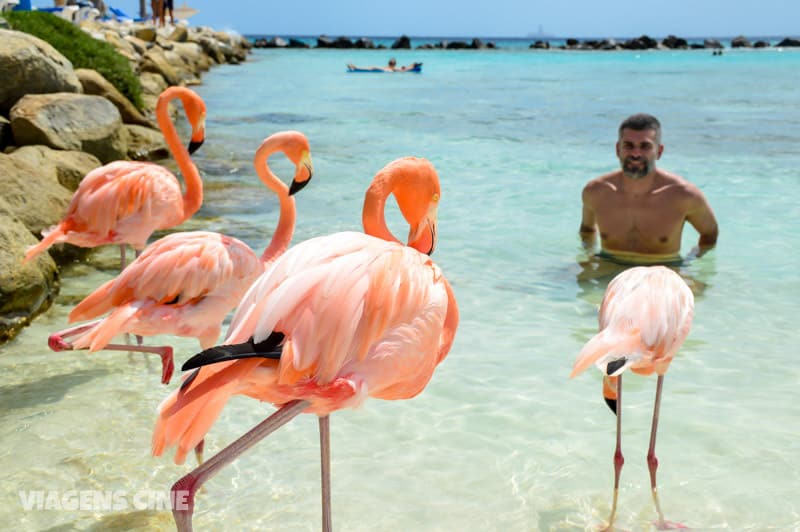 O que fazer em Aruba: Dicas e Roteiro de Viagem