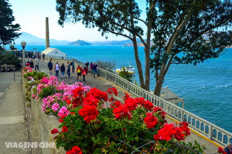 Alcatraz: O que fazer em São Francisco
