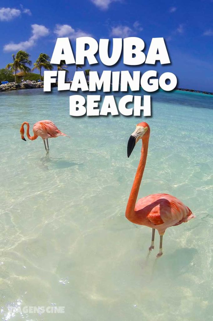 Flamingo Beach: Renaissance Island - Passeios em Aruba