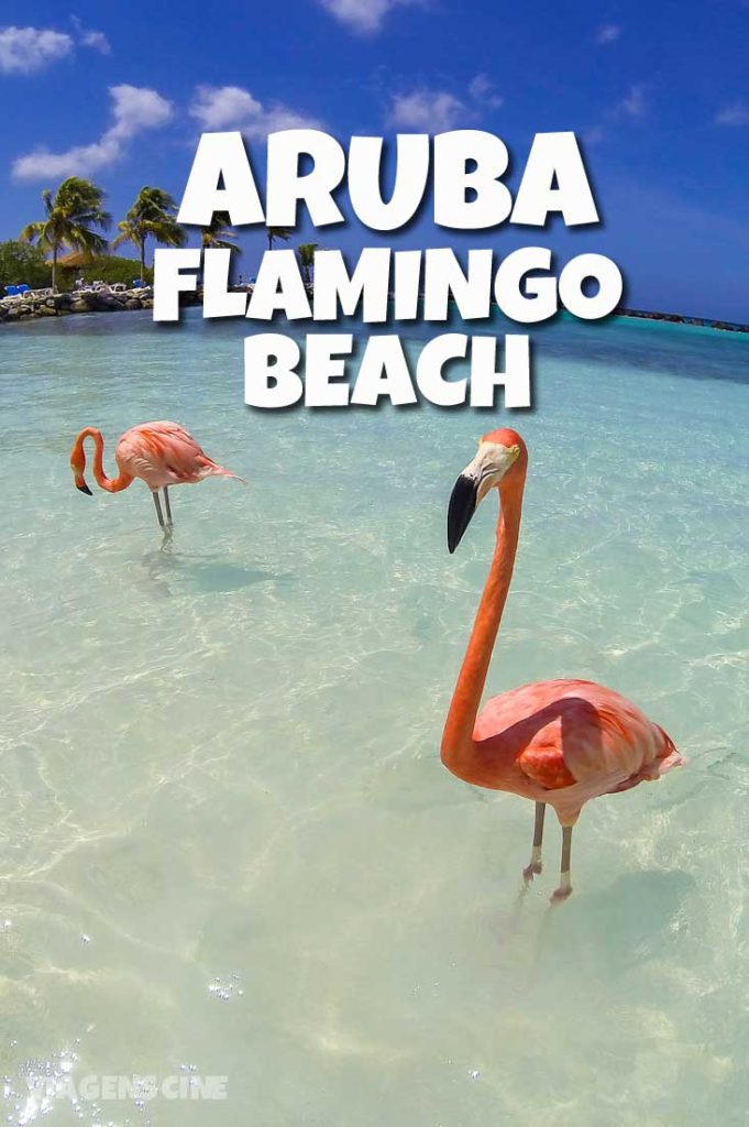 Flamingo Beach: essa praia em Aruba fica na Renaissance Island e é um dos passeios imperdíveis para se fazer em Aruba #Aruba #Dicas #Viagem #FlamingoBeach Flamingo Beach: Renaissance Island - Passeios em Aruba