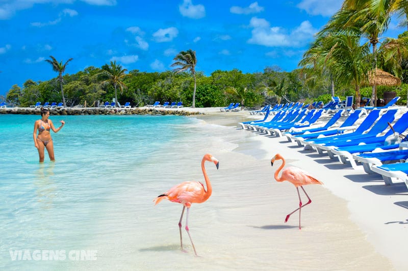 O que fazer em Aruba: Flamingo Beach
