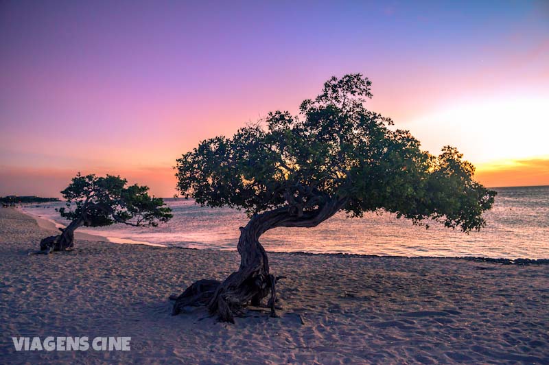 Melhores Praias de Aruba: Divi-Divi e Eagle Beach