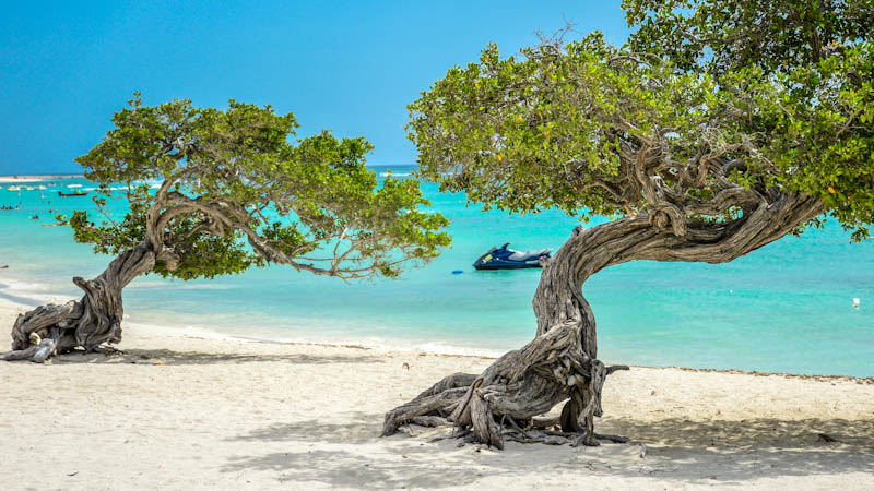 Aruba ou Curaçao: melhores destinos do Caribe