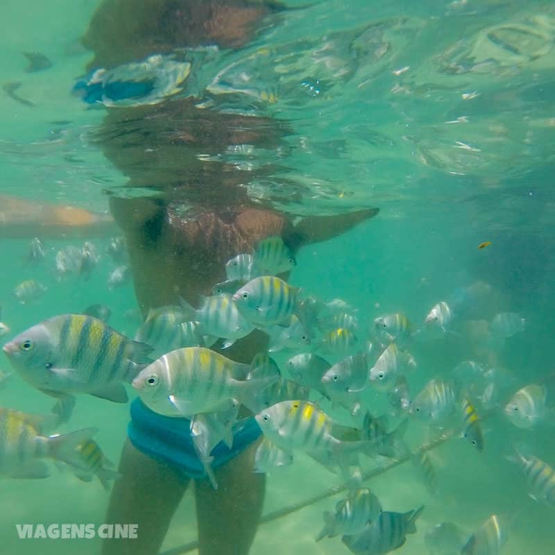 Praia de Garapuá em Morro de SP: Passeio até as Piscinas Naturais