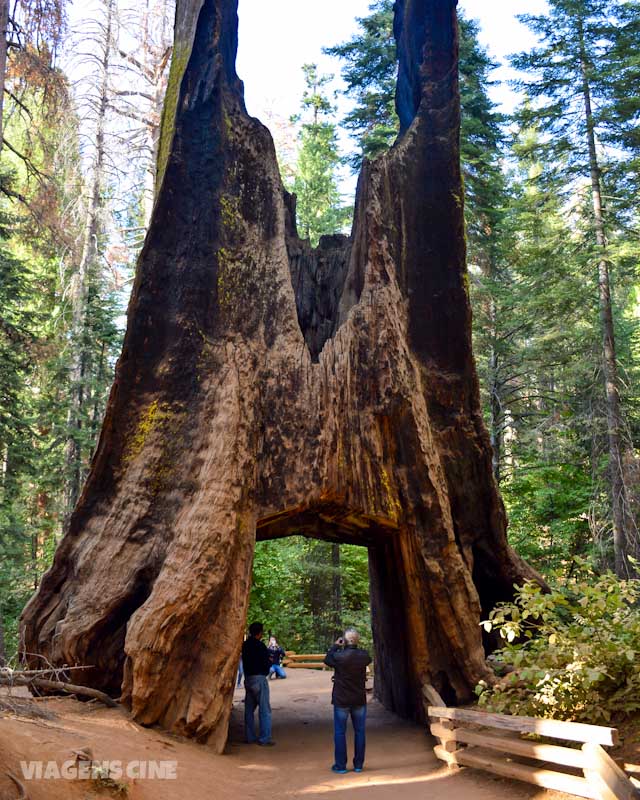 Yosemite Park: Dicas e O que fazer no Parque Nacional de Yosemite