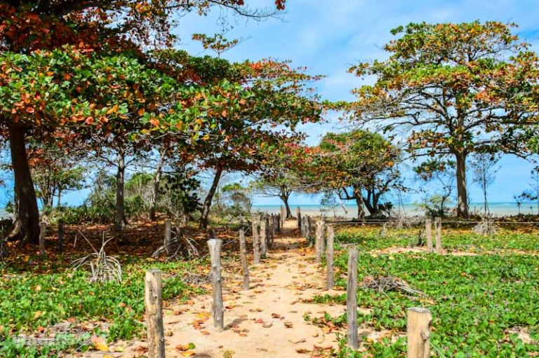 O que fazer em Aracruz Praias do Litoral Norte do Espírito Santo