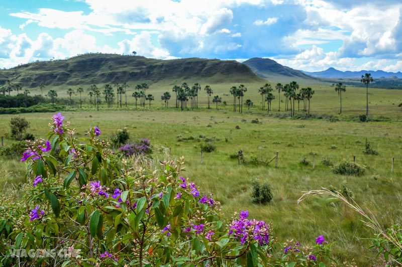 O que fazer na Chapada dos Veadeiros: Os 10 Melhores Pontos Turísticos com e sem Guia