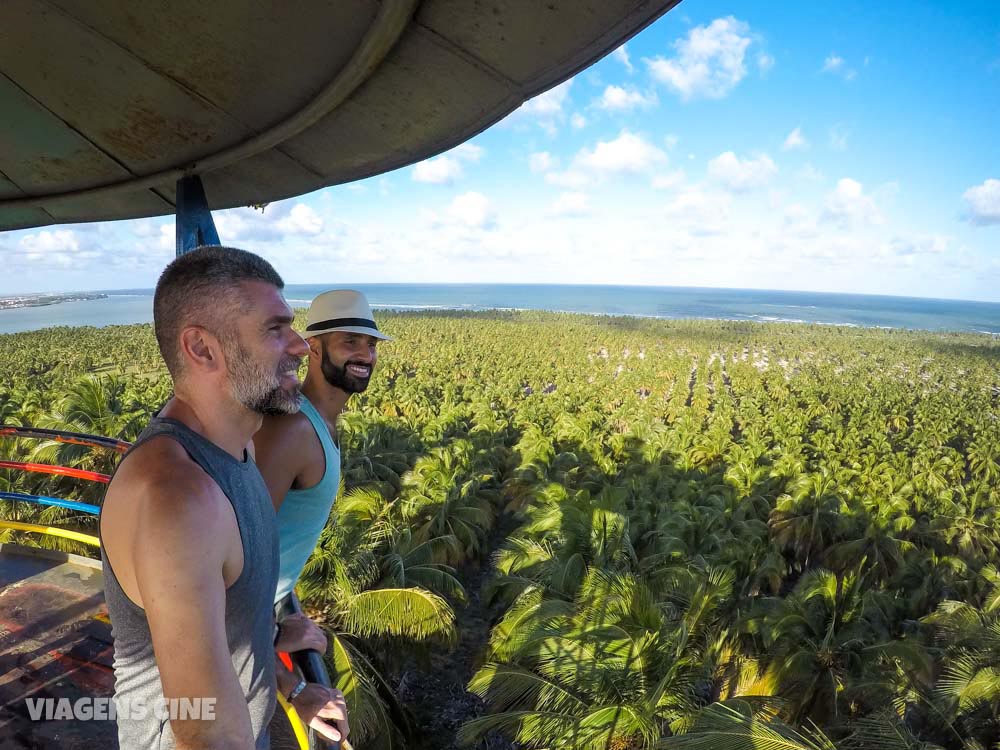 Roteiro Alagoas: Dicas e Roteiro de 7 a 10 Dias - Maceió, Maragogi e Praia do Gunga