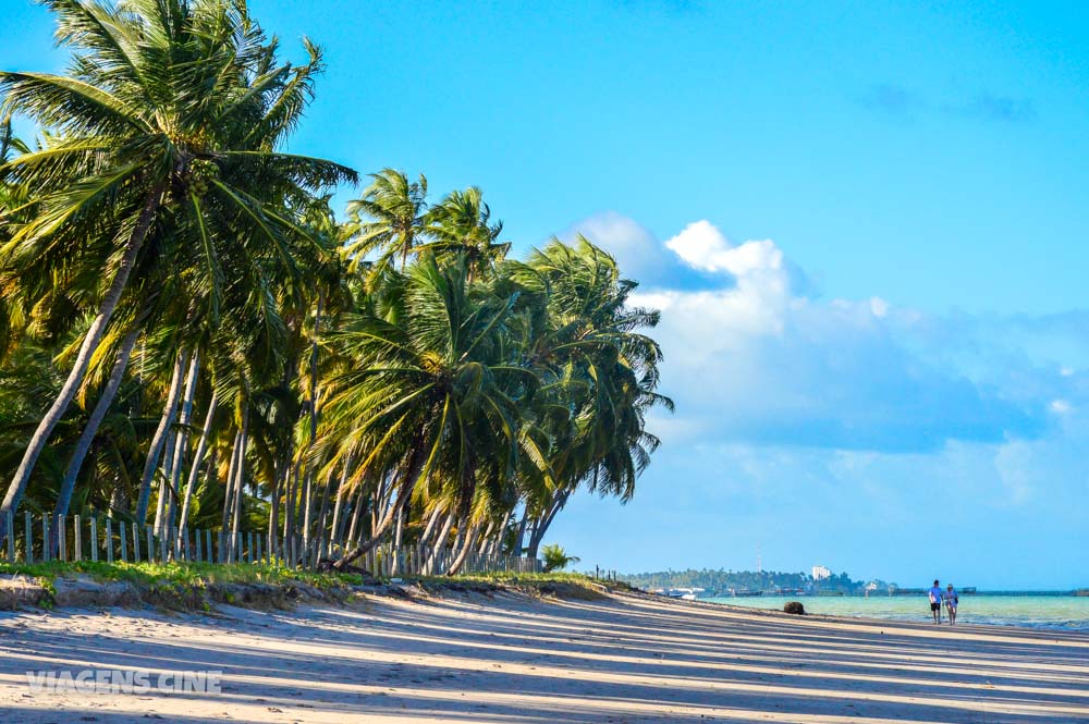 10 Melhores Praias de Alagoas: Maceió e Litoral Norte a Sul - Expedição Caribe Brasileiro