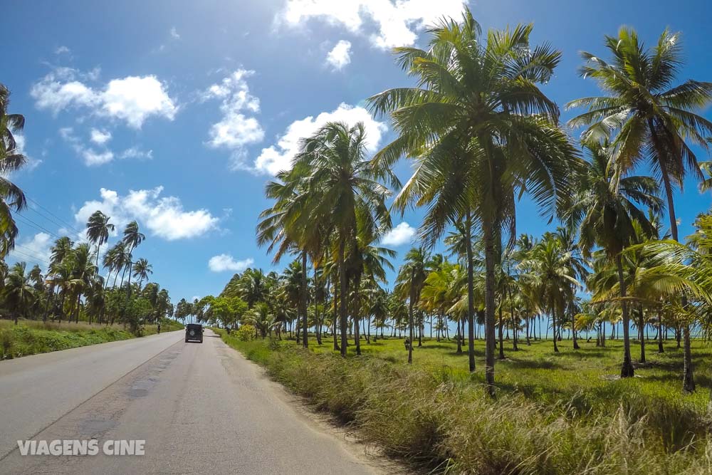 Roteiro Alagoas: Dicas e Roteiro de 7 a 10 Dias - Maceió, Maragogi e Praia do Gunga