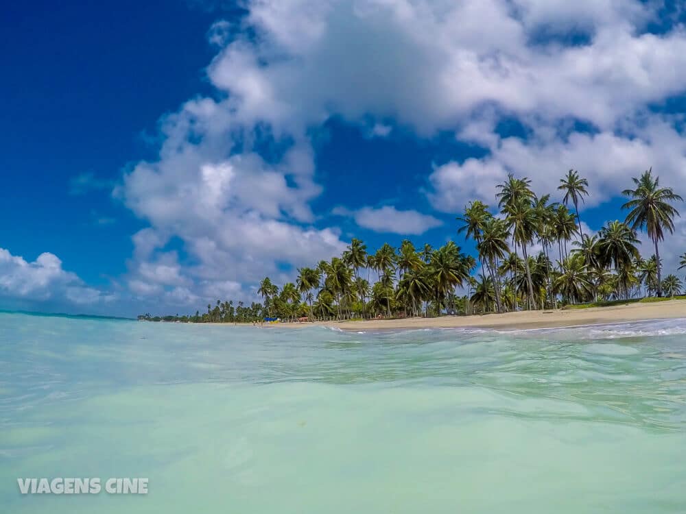 10 Melhores Praias de Alagoas: Maceió e Litoral Norte a Sul - Expedição Caribe Brasileiro 10 Melhores Praias de Alagoas: Maceió e Litoral Norte a Sul - Expedição Caribe Brasileiro