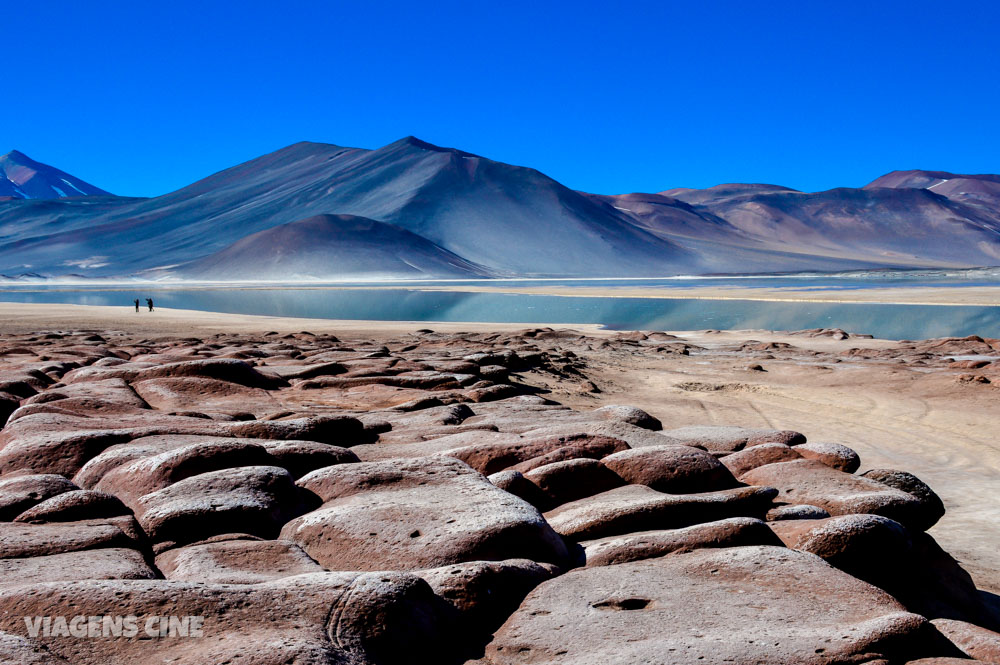 Lagunas Altiplanicas e Piedras Rojas: O Melhor Passeio do Atacama - Lagunas Miscanti e Miñiques