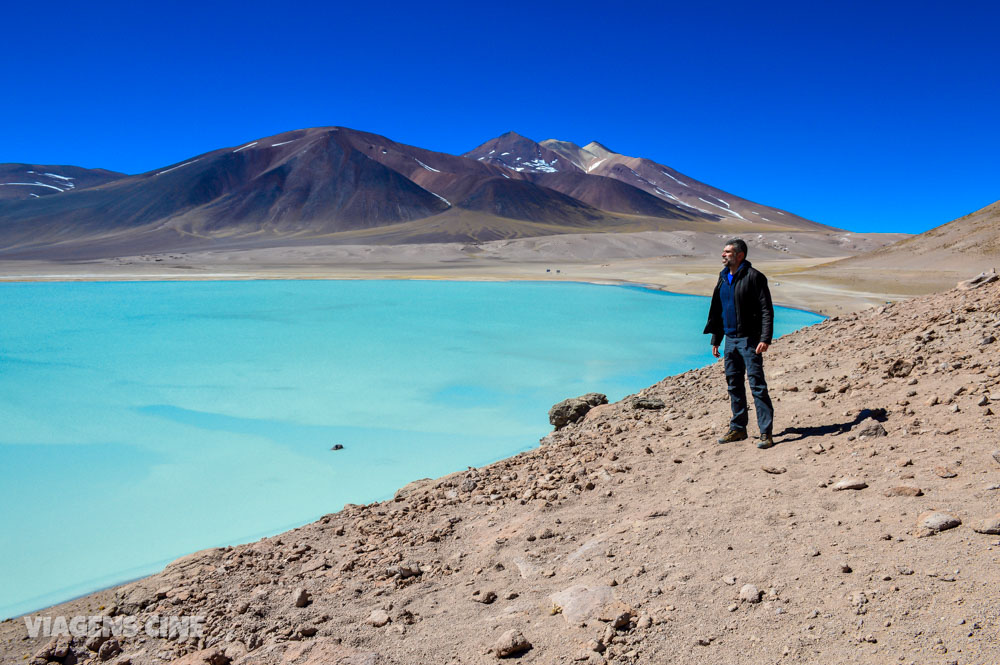 Lagunas Altiplanicas e Piedras Rojas: O Melhor Passeio do Atacama - Lagunas Miscanti e Miñiques