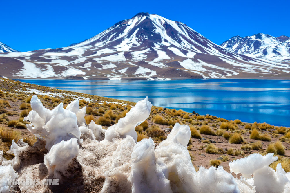 Lagunas Altiplanicas e Piedras Rojas: O Melhor Passeio do Atacama - Lagunas Miscanti e Miñiques