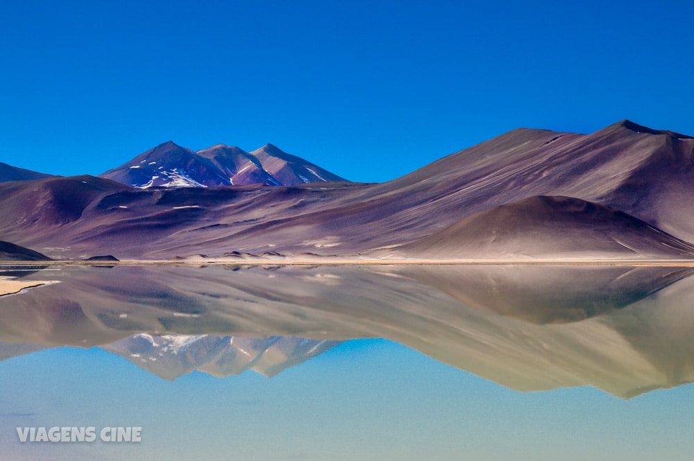 Lagunas Altiplanicas e Piedras Rojas: O Melhor Passeio do Atacama - Lagunas Miscanti e Miñiques