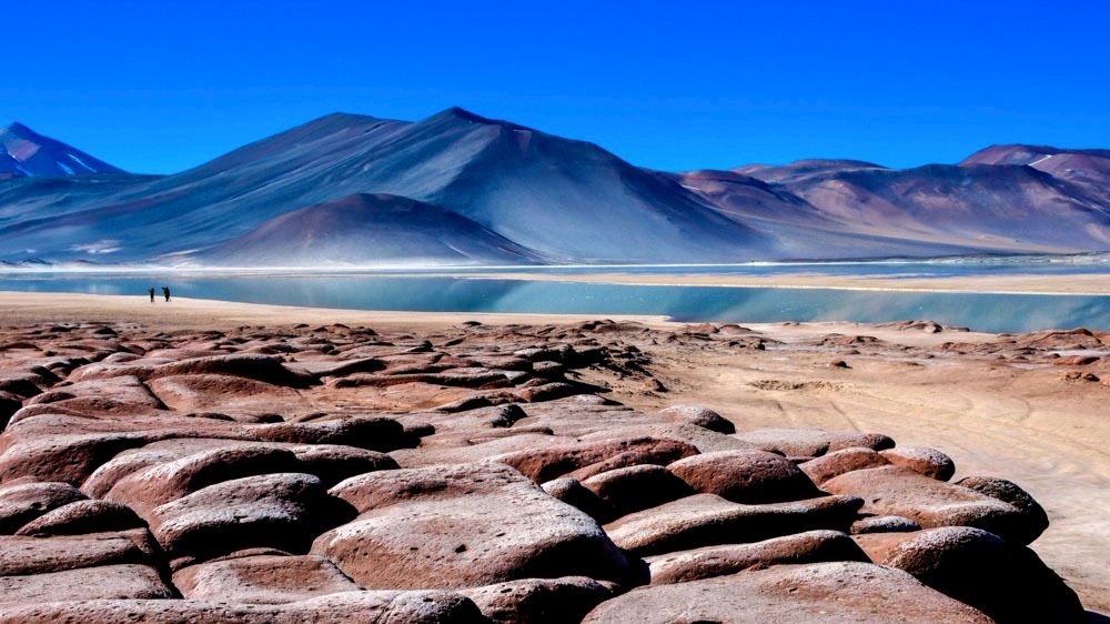 Piedras Rojas e Lagunas Altiplanicas: Melhor Passeio do Atacama