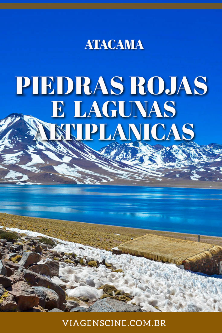 Lagunas Altiplanicas e Piedras Rojas: O Melhor Passeio do Atacama - Lagunas Miscanti e Miñiques