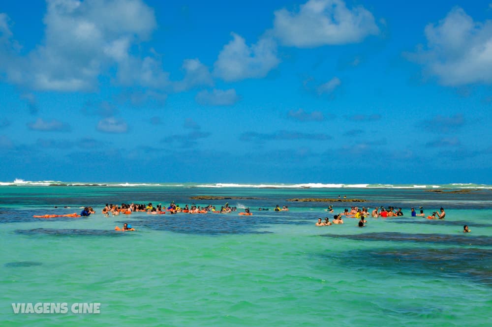 Piscinas Naturais de Maragogi: Galés e Taocas - Costa dos Corais Alagoas