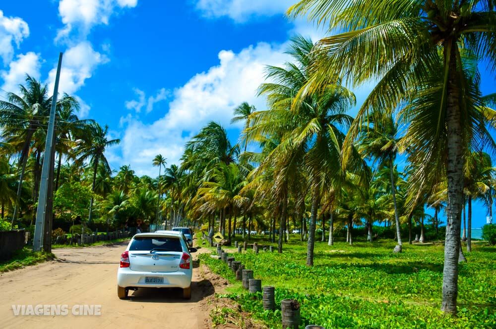 O que fazer em Porto de Pedras: Praia do Patacho e Peixe-Boi - Alagoas O que fazer em Porto de Pedras: Praia do Patacho e Peixe-Boi - Alagoas
