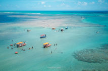 O que fazer em Porto de Pedras: Praia do Patacho e Peixe-Boi - Alagoas