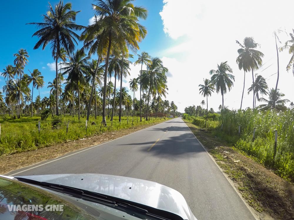 São Miguel dos Milagres - Alagoas: O que Fazer, Dicas e Principais Praias São Miguel dos Milagres - Alagoas: O que Fazer, Dicas e Principais Praias