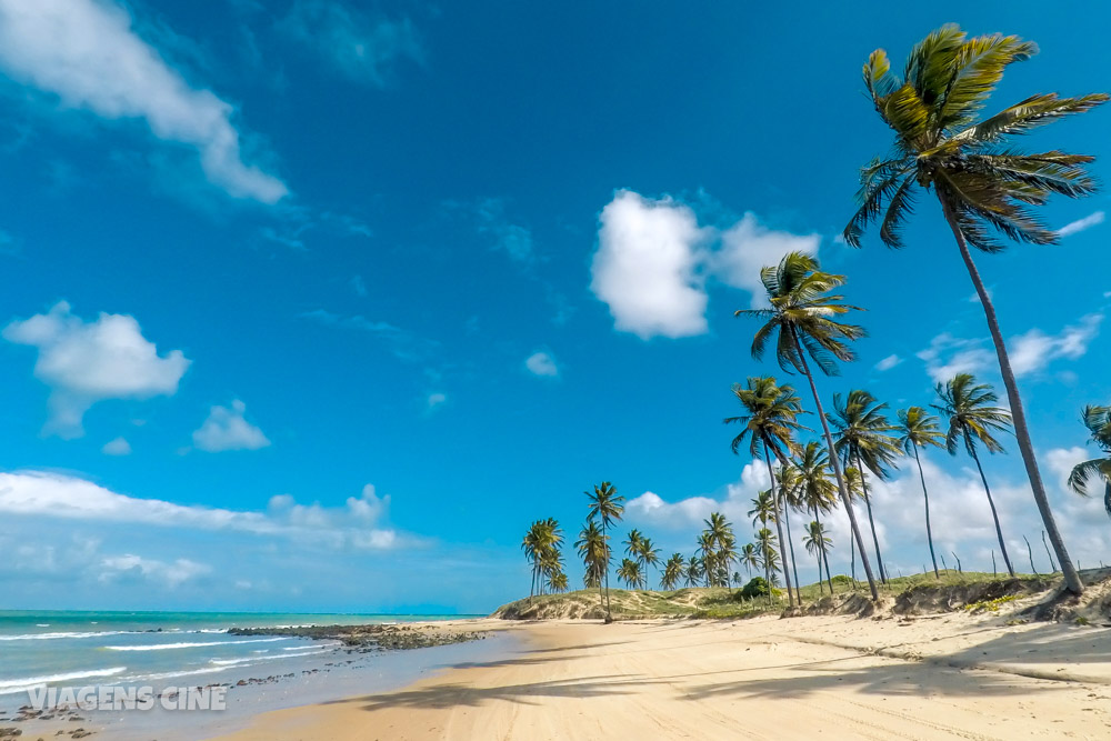 Parrachos de Maracajaú: Passeio de Natal até o Caribe do RN Parrachos de Maracajaú: Passeio de Natal até o Caribe do RN