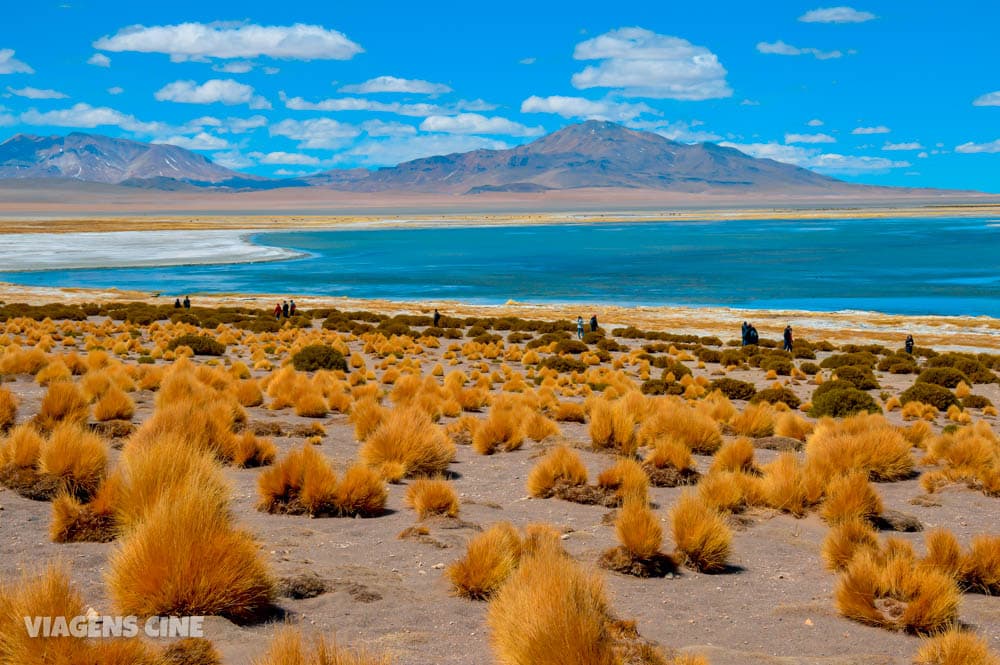 Salar de Tara: Passeio no Deserto do Atacama