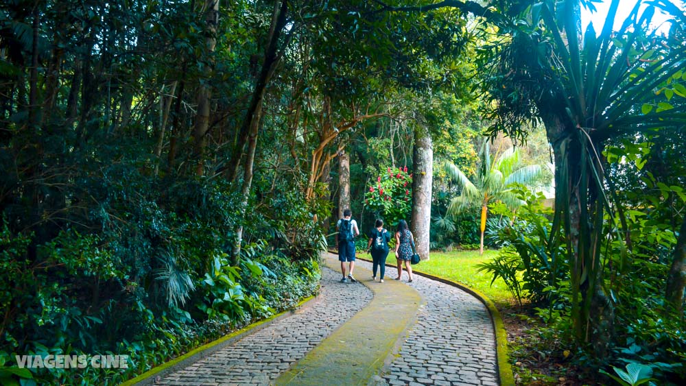 Santa Teresa ES: O que fazer na Região Serrana do Espírito Santo