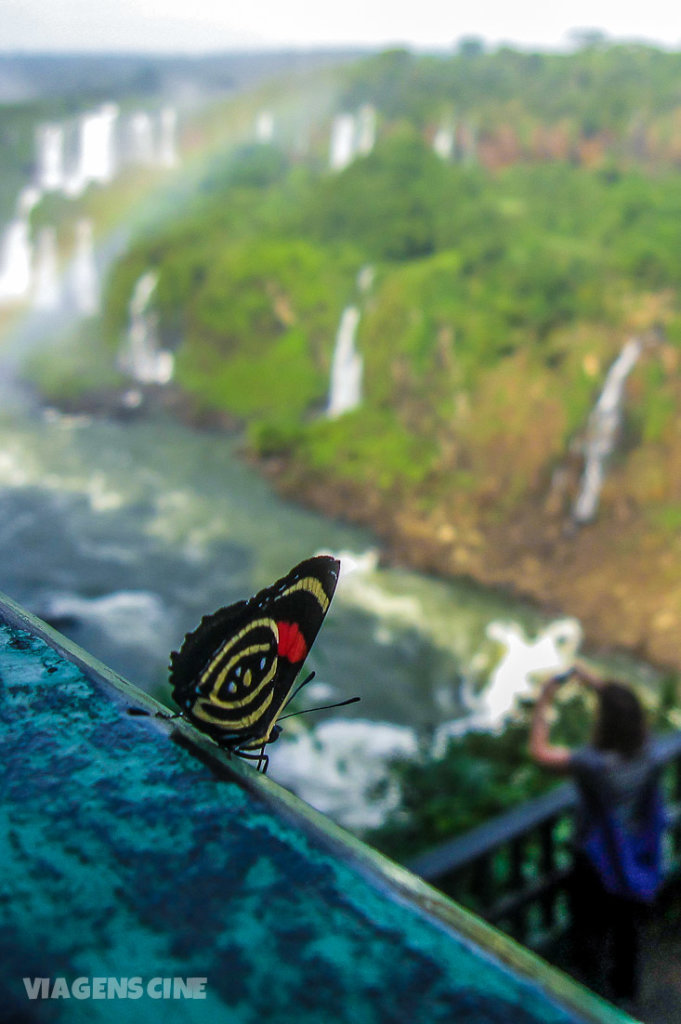 As 7 Maravilhas da Natureza do Brasil: Cataratas do Iguaçu As 7 Maravilhas da Natureza do Brasil: Cataratas do Iguaçu
