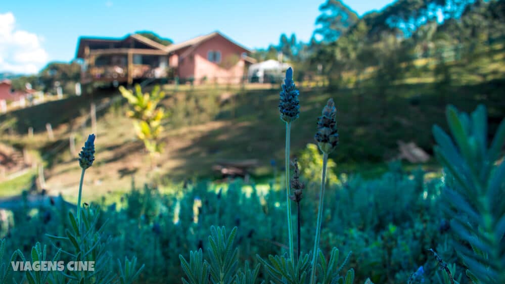 O que fazer em Monte Verde MG: Dicas e Roteiro de Viagem O que fazer em Monte Verde MG: Dicas e Roteiro de Viagem