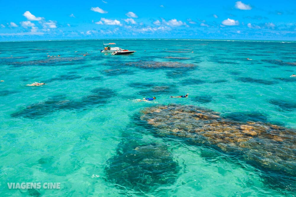 10 Melhores Praias do Rio Grande do Norte Natal Pipa e Litoral Norte