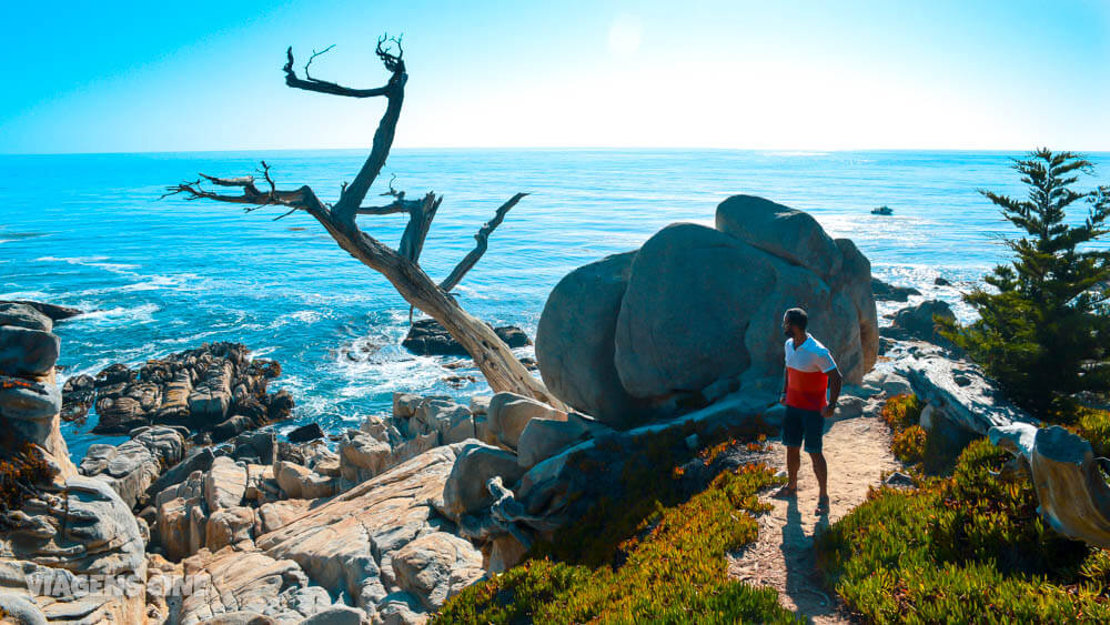 Pacific Coast Highway: Carmel, Monterey e 17-Mile Drive - Califórnia