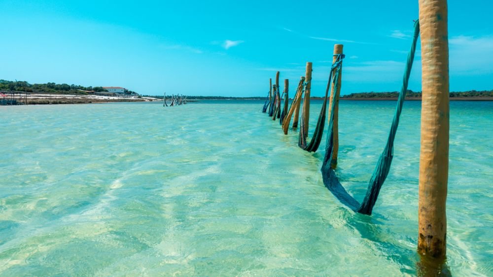 JERICOACOARA: O que Fazer, Dicas, Preços e Roteiro Completo
