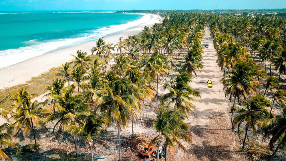 Porto de Galinhas: Passeio de Buggy de Ponta a Ponta - Muro Alto e Maracaípe