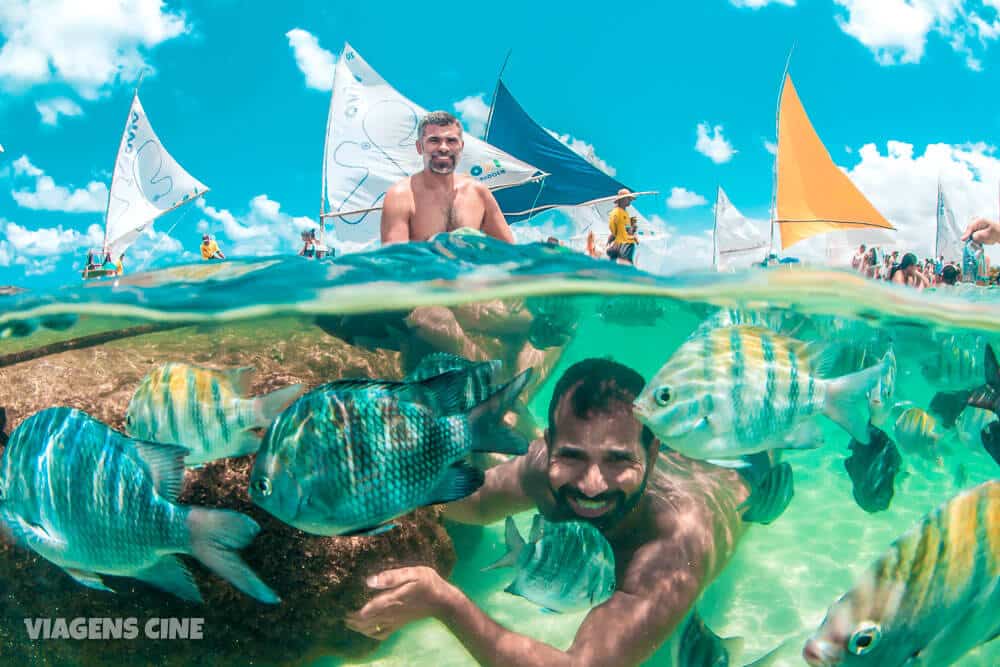 Porto de Galinhas: Passeio de Buggy de Ponta a Ponta - Muro Alto e Maracaípe