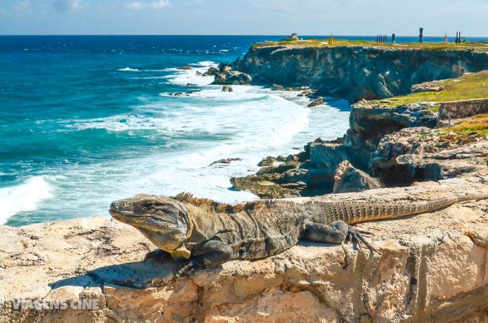 O que fazer em Isla Mujeres - Dicas: Playa Norte e Punta Sur - Cancun