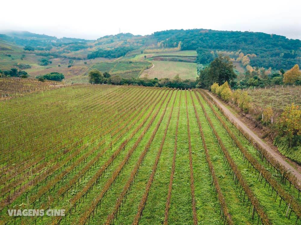 Serra Gaúcha: Roteiro do Vinho em Bento Gonçalves e Vale dos Vinhedos