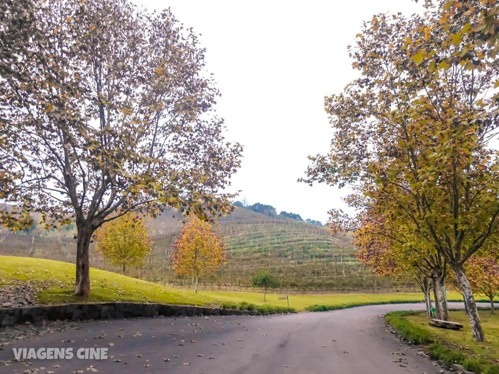 Serra Gaúcha: Roteiro do Vinho em Bento Gonçalves e Vale dos Vinhedos